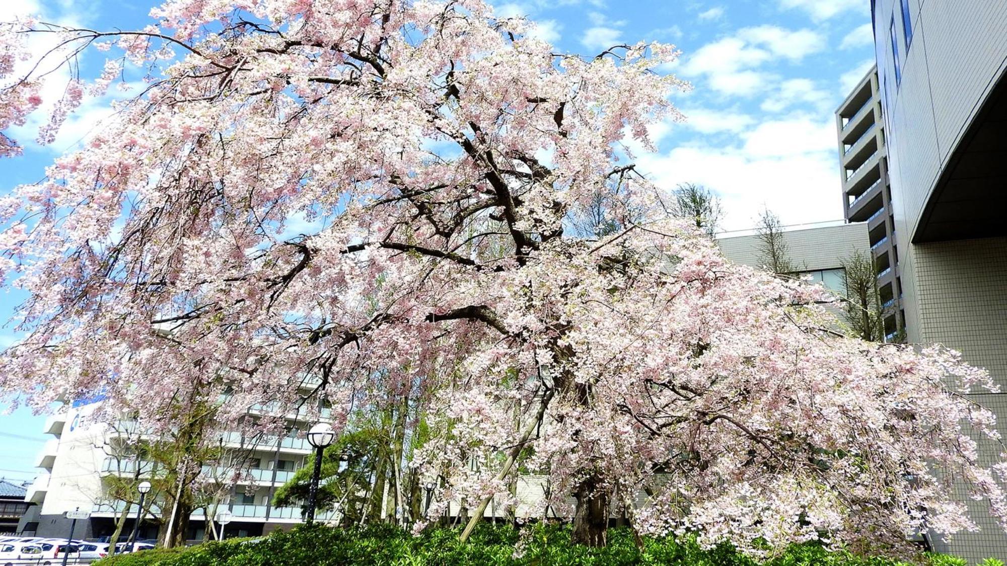 Ana Crowne Plaza Niigata, An Ihg Hotel Exterior photo